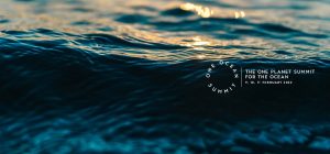 bandeau-bilan-one-ocean-summit