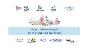 Affiche Synthèse Réunion cadrée