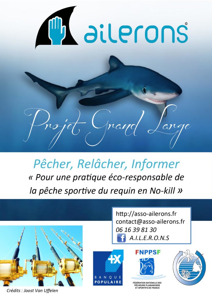 Grand Large AIlerons