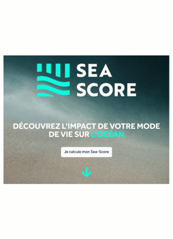 Visuel Sea Score