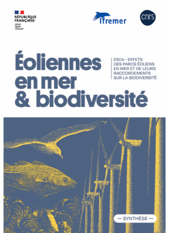 ESCo Eolien en mer et biodiversité cadré
