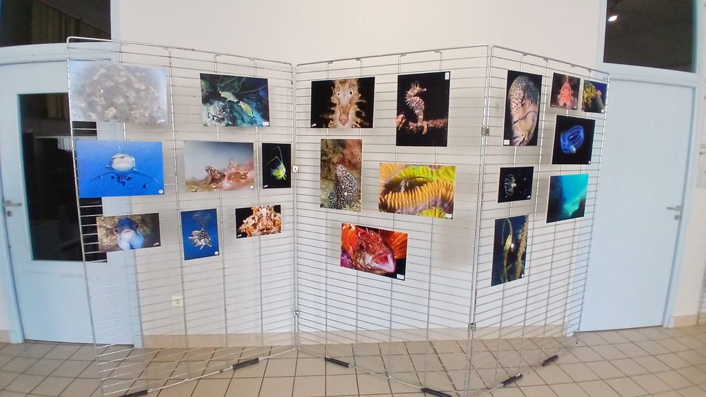 Image 2026-08-18